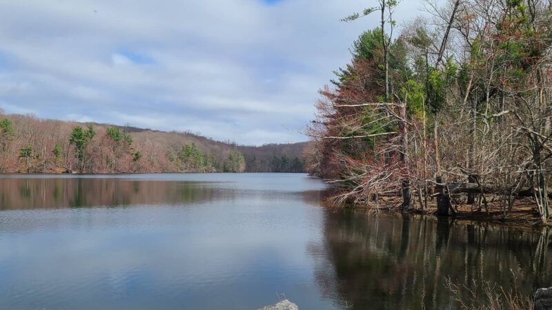 Naugatuck State Forest - Oxford, CT