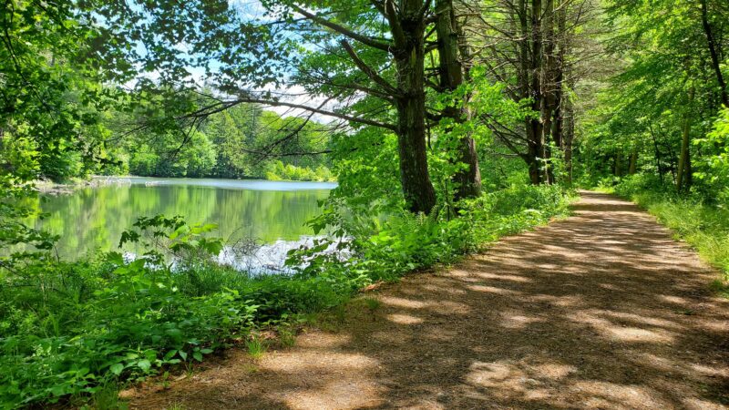 Naugatuck State Forest parking - Oxford, CT