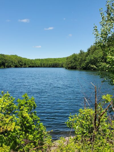 Naugatuck State Forest parking - Oxford, CT