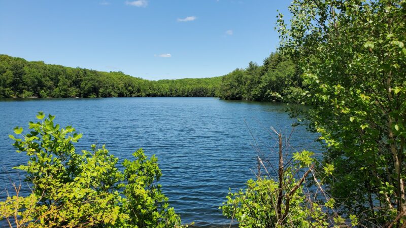 Naugatuck State Forest parking - Oxford, CT