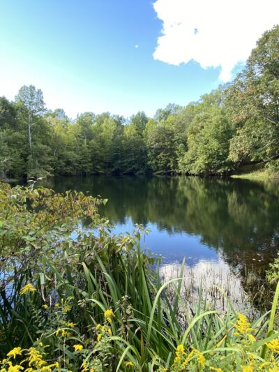 Rockhouse Hill Sanctuary - Oxford, CT