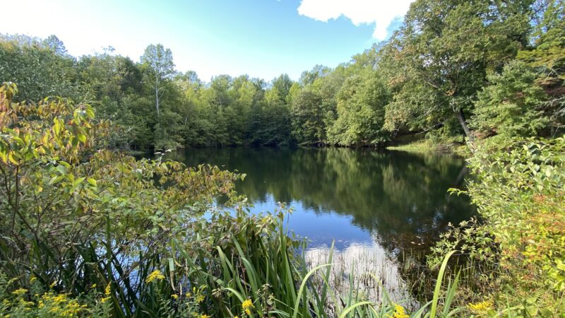 Rockhouse Hill Sanctuary - Oxford, CT