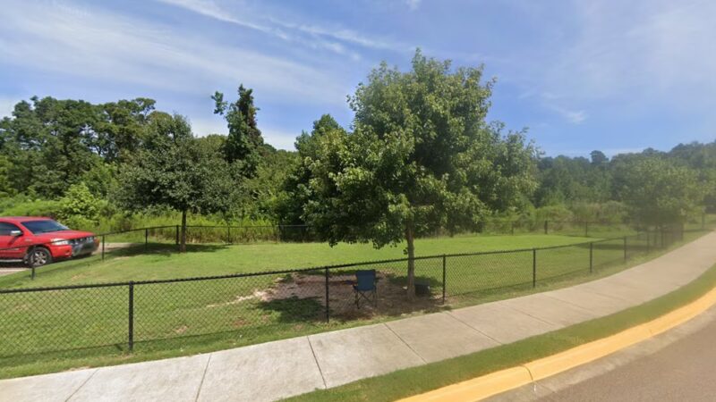 Rowandale Dog Park - Oxford, MS