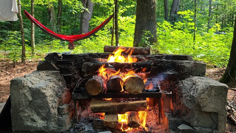 Bowman Lake State Park - Oxford, NY