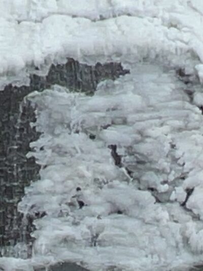 Craig Park - Painted Post, NY