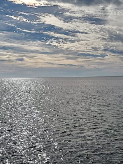 Downtown Park - Palacios, TX