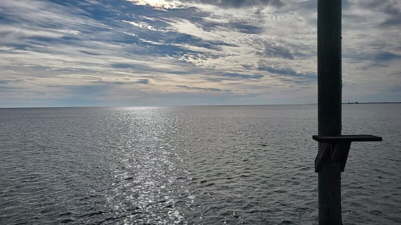 Downtown Park - Palacios, TX