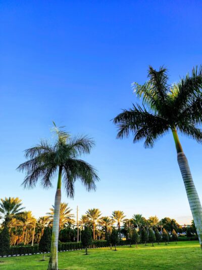 Alton Playground and Dogpark - Palm Beach Gardens, FL