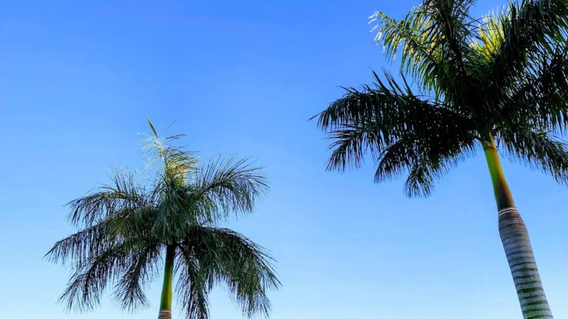 Alton Playground and Dogpark - Palm Beach Gardens, FL