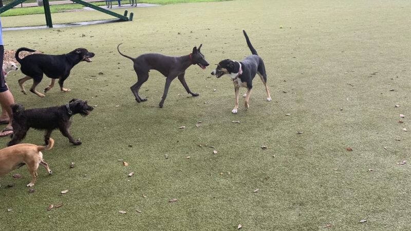 Lilac Park - Palm Beach Gardens, FL