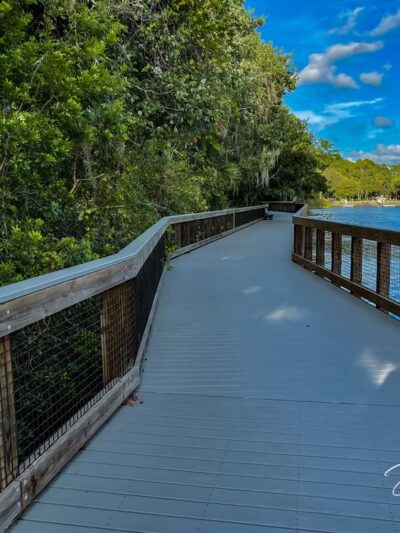 John Chesnut Sr. Park - Palm Harbor, FL