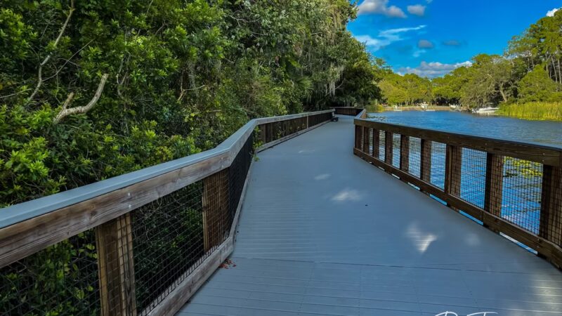 John Chesnut Sr. Park - Palm Harbor, FL