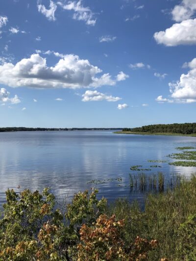 John Chesnut Sr. Park - Palm Harbor, FL