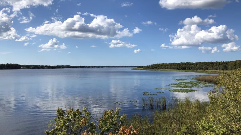 John Chesnut Sr. Park - Palm Harbor, FL
