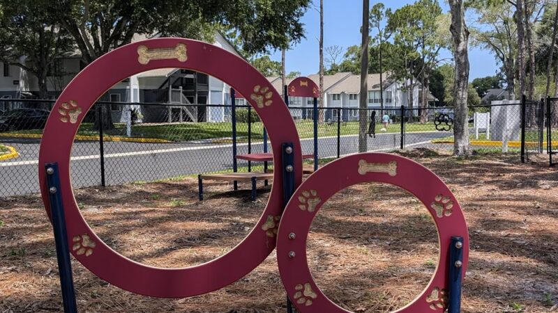 Lakeview Dog Park - Palm Harbor, FL