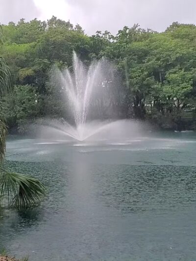 Perrine Wayside Dog Park - Palmetto Bay, FL