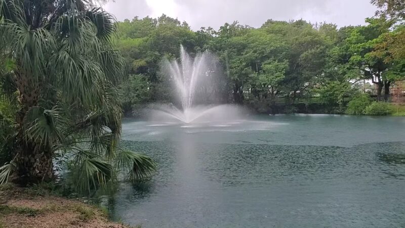 Perrine Wayside Dog Park - Palmetto Bay, FL