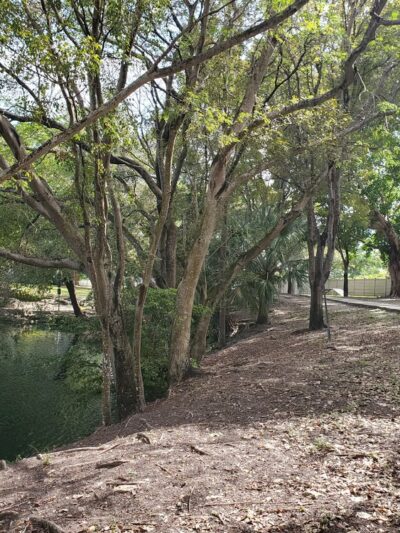 Perrine Wayside Dog Park - Palmetto Bay, FL