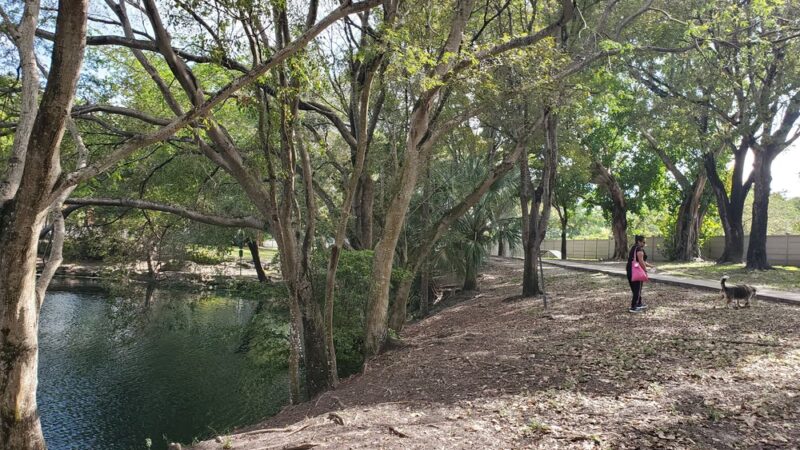 Perrine Wayside Dog Park - Palmetto Bay, FL