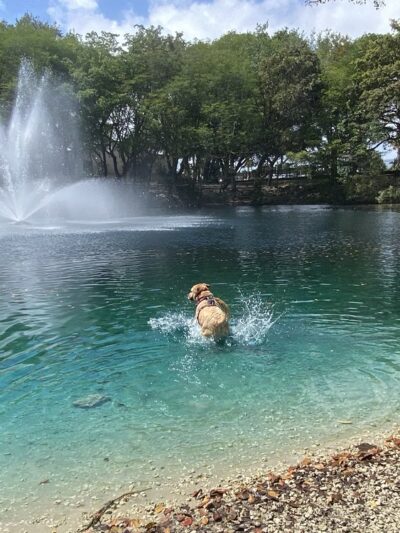 Perrine Wayside Dog Park - Palmetto Bay, FL