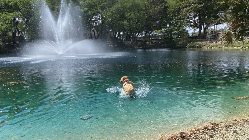 Perrine Wayside Dog Park - Palmetto Bay, FL