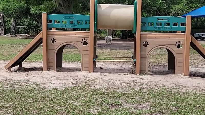 Buffalo Creek Dog Leg Park - Palmetto, FL