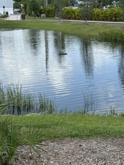 Connor Park - Palmetto, FL