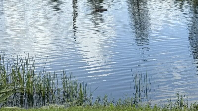 Connor Park - Palmetto, FL