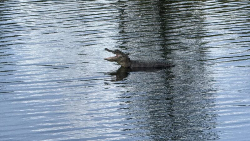 Connor Park - Palmetto, FL