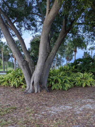Hidden Lake Park - Palmetto, FL