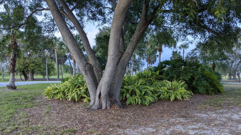Hidden Lake Park - Palmetto, FL