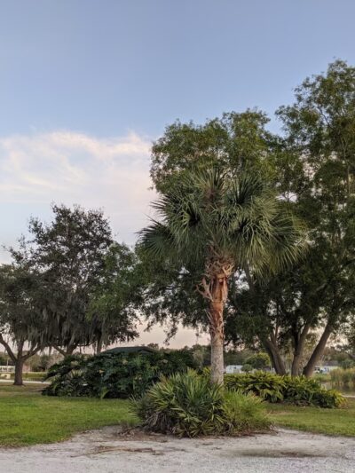 Hidden Lake Park - Palmetto, FL