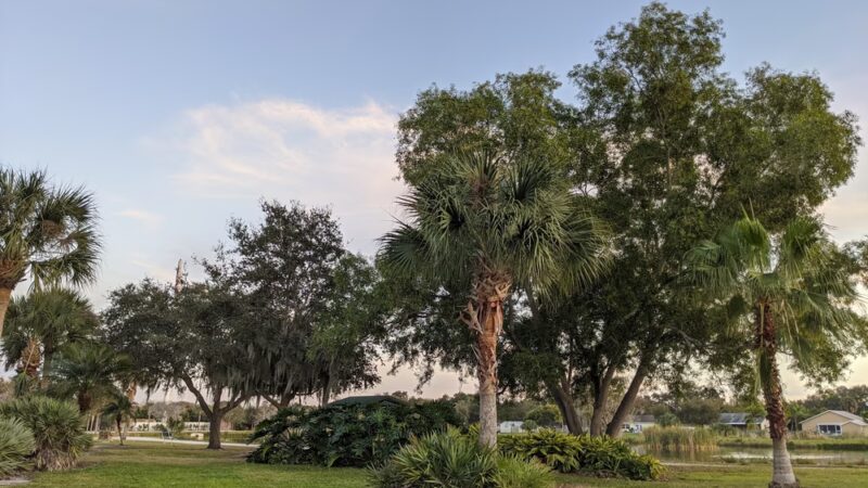 Hidden Lake Park - Palmetto, FL