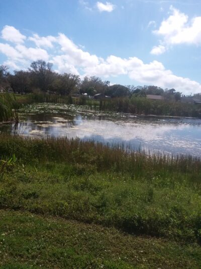 Palmetto Recreational Trail - Palmetto, FL