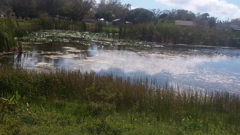 Palmetto Recreational Trail - Palmetto, FL