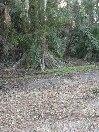 Palmetto Recreational Trail - Palmetto, FL