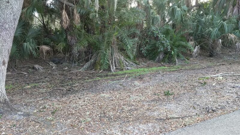 Palmetto Recreational Trail - Palmetto, FL