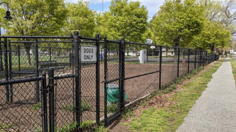 Ziggy's Dog Park - Palmyra, NJ