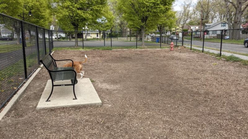 Ziggy's Dog Park - Palmyra, NJ