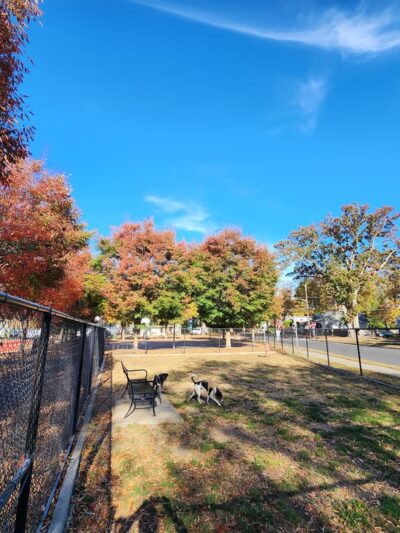 Ziggy's Dog Park - Palmyra, NJ