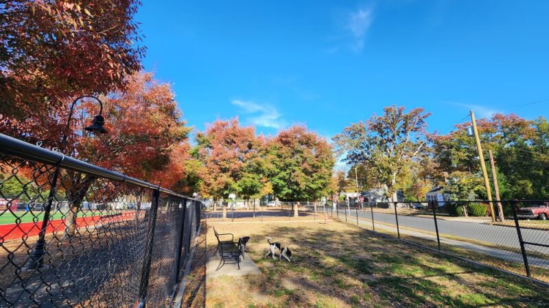Ziggy's Dog Park - Palmyra, NJ