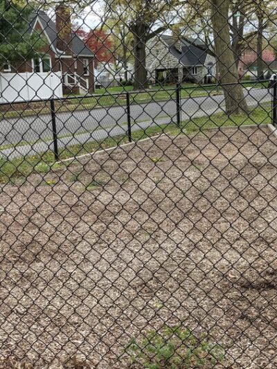 Ziggy's Dog Park - Palmyra, NJ