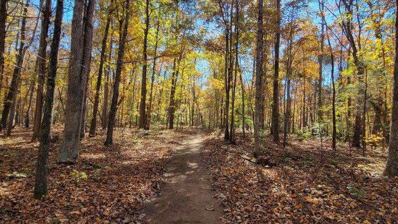 Pleasant Grove Park - Palmyra, VA