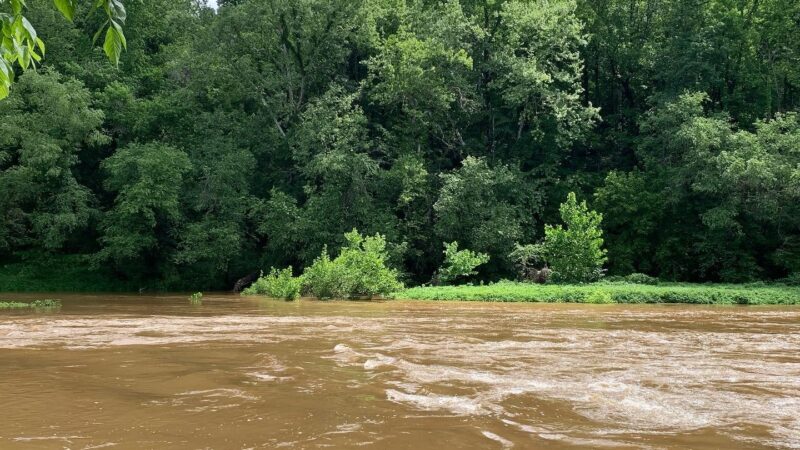 Pleasant Grove Park - Palmyra, VA