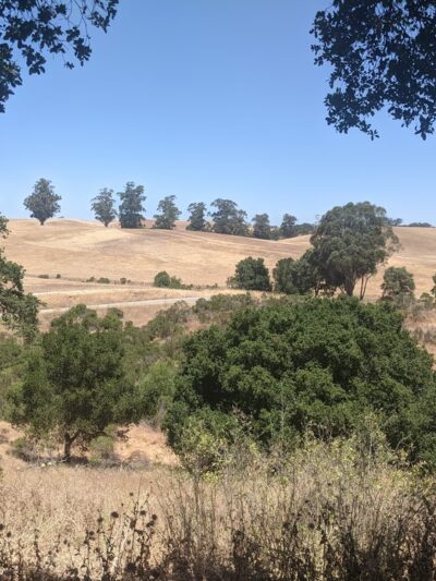 Arastradero Creek Trail - Palo Alto, CA