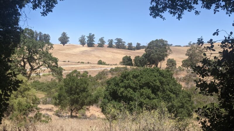 Arastradero Creek Trail - Palo Alto, CA