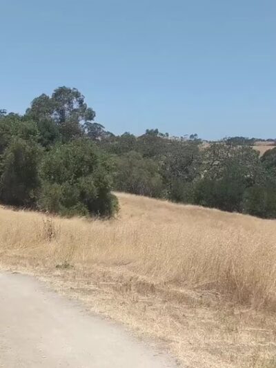 Arastradero Creek Trail - Palo Alto, CA
