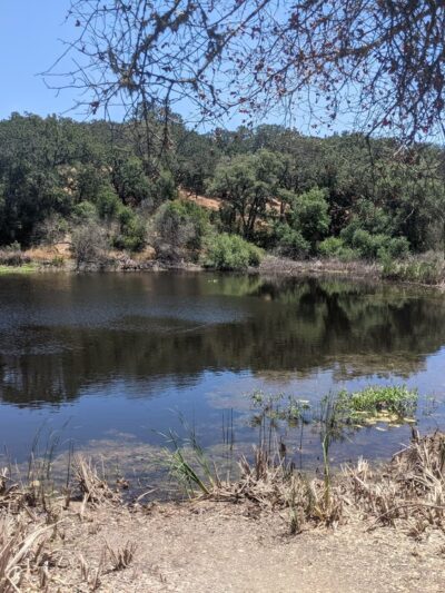 Arastradero Creek Trail - Palo Alto, CA
