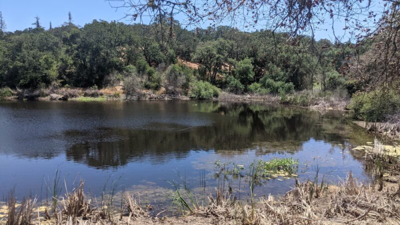 Arastradero Creek Trail - Palo Alto, CA
