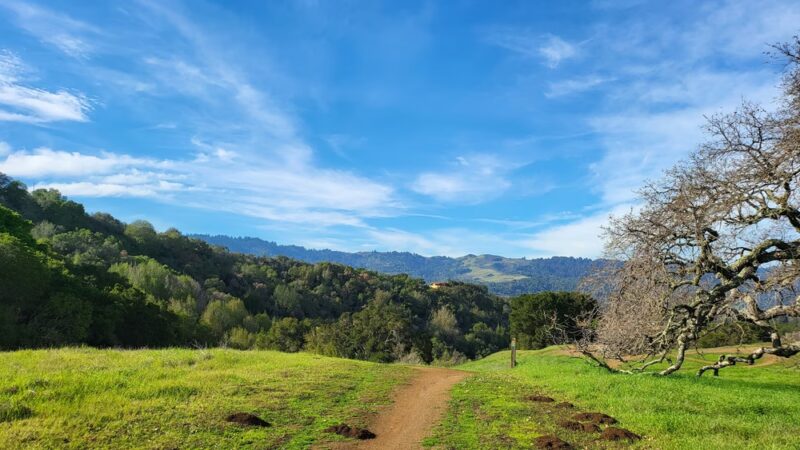 Arastradero Preserve Vista Point - Palo Alto, CA